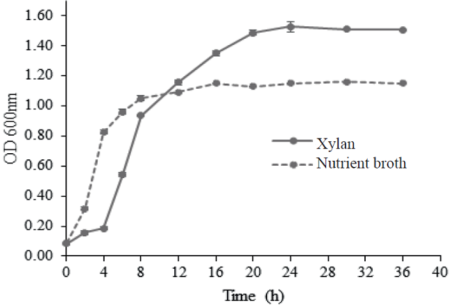 Growth kinetics of Bacillus subtilis E44 in nutrient broth and in a medium of salts plus beech xylan