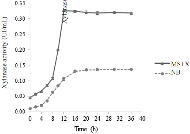 Xylanase activity of the enzymatic preparation in broth and medium of minimum salts plus beech xylan