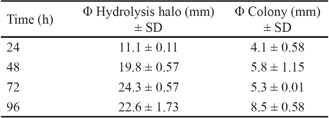 Qualitative evaluation of xylanase enzymes of Bacillus subtilis E44, in beech xylan as the only carbon source