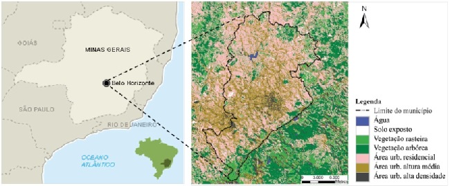 Figura 1