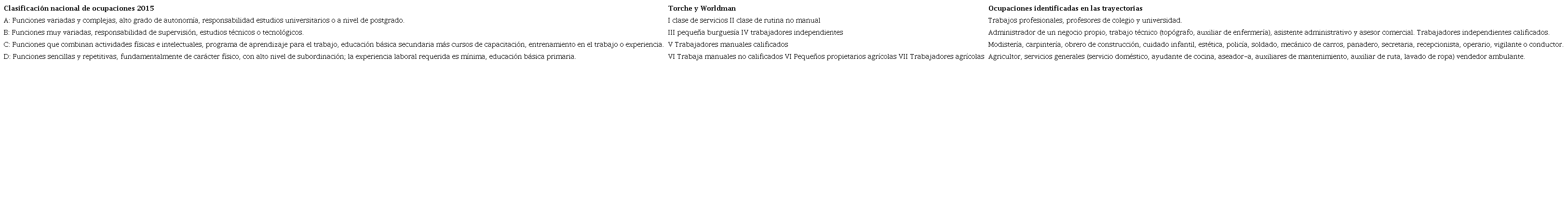 Ocupaciones identificadas en la encuesta seg&uacute;n clasificaci&oacute;n y nivel ocupacional y categor&iacute;as Torche y Worldman