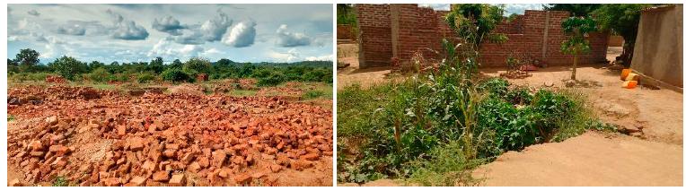 Brick extraction causing landscape alteration (on the left) and agriculture inside the brick hole (on the right). 