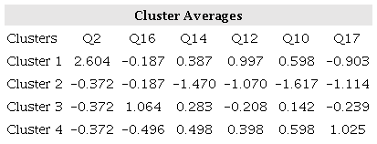 &ndash; Cluster information in relation to respondents' opinion responses