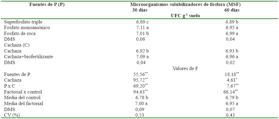 Microorganismos solubilizadores de f&oacute;sforo (MSF) en un suelo tratado con
diferentes fuentes de f&oacute;sforo y la cachaza en presencia y ausencia de biofertilizante, a los 30 y 60 d&iacute;as despu&eacute;s de aplicados
los tratamientos. Cienfuegos, Cuba, 2013