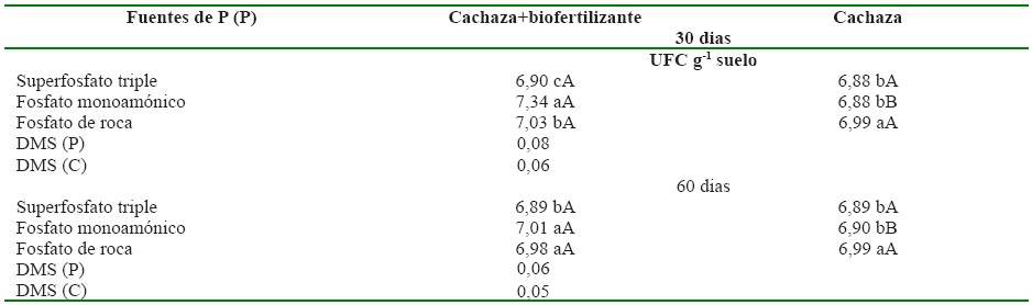 Microorganismos solubilizadores
de f&oacute;sforo (MSF) a los 30 y 60 d&iacute;as, despu&eacute;s de aplicados los tratamientos de
fosfato. Cienfuegos, Cuba, 2013