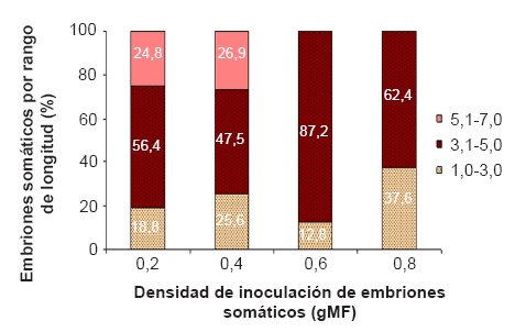 Efecto de la densidad de inoculaci&oacute;n en la
frecuencia de aparici&oacute;n del rango de longitud de los embriones som&aacute;ticos de pl&aacute;tano cv. &lsquo;FHIA-21&rsquo;
(AAAB), a los 30 d&iacute;as de cultivo en fase de maduraci&oacute;n