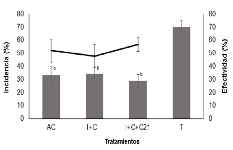 Incidencia de la antracnosis en frutos de mango ‘Super Haden’ tratados con agua caliente (AC), Imazalil+cera (I+C), Imazalil+cera+Conserver
21 (I+C+C21) y frutos testigo (T) y su efectividad después de 15 días a 14±1 ºC y HR 85-90 %