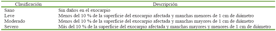 Escala arbitraria de clasificación de los daños
por la antracnosis en el exocarpio de frutos de mango
′Super Haden′