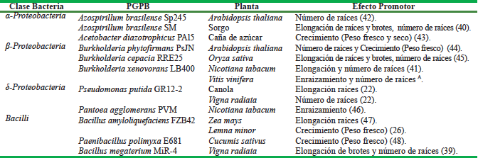 Efecto promotor del crecimiento de plantas de bacterias productoras de ácido indol-3-acético