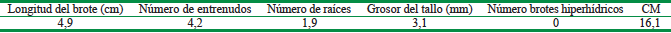 Indicadores morfol&oacute;gicos de brotes de Moringa oleifera Lam cv Supergenius luego de la multiplicaci&oacute;n en BIT. Cada valor representa la media de 30 repeticiones
