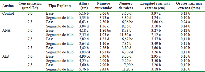 Efecto de la aplicaci&oacute;n de ANA y AIB en la fase de enraizamiento in vitro de brotes de Moringa oleifera Lam cv Supergenius