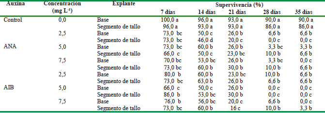 Porcentaje de supervivencia de los brotes de Moringa oleifera Lam cv Supergenius en la fase de aclimatizaci&oacute;n