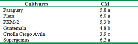 Coeficiente de multiplicaci&oacute;n en sistema convencional de diferentes cultivares de Moringa oleifera Lam