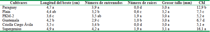 Indicadores morfol&oacute;gicos de brotes de diferentes cultivares de Moringa oleifera  Lam.  durante   la multiplicaci&oacute;n en BIT