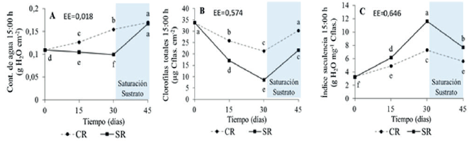 Efecto del d&eacute;ficit h&iacute;drico en discos de hojas &ldquo;D&rdquo; de plantas de pi&ntilde;a micropropagadas (Ananas comosus (L.) Merr.)