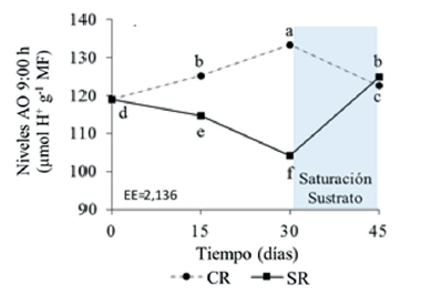 Efecto del d&eacute;ficit h&iacute;drico sobre los niveles de &aacute;cidos org&aacute;nicos (AO) en hojas &ldquo;D&rdquo; de plantas de pi&ntilde;a micropropagadas (Ananas comosus (L.) Merr.)