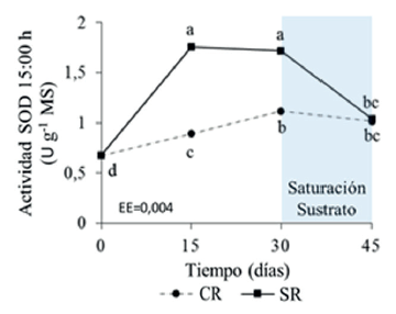 Efecto del d&eacute;ficit h&iacute;drico en la actividad enzim&aacute;tica de Super&oacute;xido dismutasa (SOD, EC 1.15.1.1) (A), en hojas &ldquo;D&rdquo; de plantas de pi&ntilde;a micropropagadas (Ananas comosus (L.) Merr.)