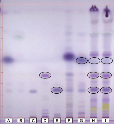 Perfil de monoterpenos identificados por HPTLC en extractos de hojas de R. officinalis cultivados con agua tratada magnéticamente