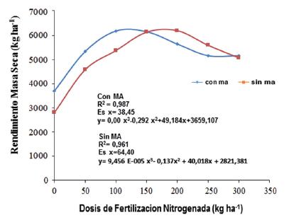 Variaci&oacute;n de la masa seca a diferentes dosis de nitr&oacute;geno con y sin aplicaci&oacute;n de micorrizas arbusculares