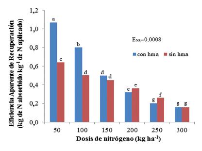 Eficiencia Aparente de Recuperaci&oacute;n (EARN) de forraje a base de triticale, a diferentes dosis de nitr&oacute;geno (50, 100, 150, 200, 250 y 300 kg ha-1) con y sin aplicaci&oacute;n de hongos micorr&iacute;zicos arbusculares (HMA)