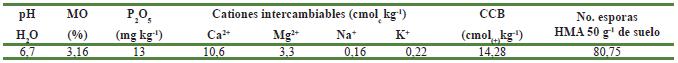Caracter&iacute;sticas qu&iacute;micas y contenido de esporas residentes de hongos micorr&iacute;zicos arbusculares (HMA) del suelo