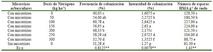 Comportamiento de la frecuencia e intensidad de colonizaci&oacute;n, as&iacute; como el n&uacute;mero de esporas g-1 de suelo en el cultivo del triticale