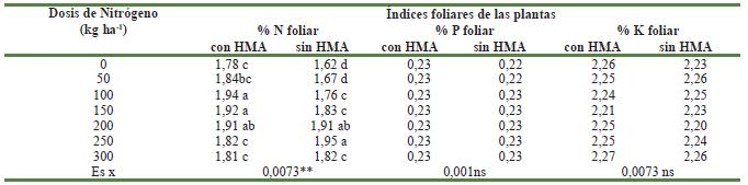 Contenidos de los &Iacute;ndices foliares (%) de N, P y K del triticale a la aplicaci&oacute;n de diferentes dosis de nitr&oacute;geno con y sin adici&oacute;n de hongos micorr&iacute;zicos arbusculares
