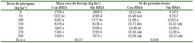 Rendimiento de masa seca (MS) kg ha-1 y porcentaje de prote&iacute;na bruta en la producci&oacute;n de forraje a base de triticale