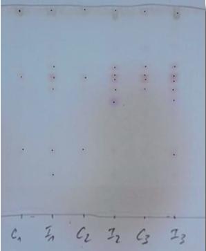 Manchas resultantes en la cromatograf&iacute;a de capa fina al analizar las muestras del inoculante sin inducir (C) y el inoculante inducido con geniste&iacute;na (I)