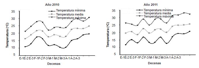 Comportamiento de las temperaturas m&aacute;ximas, medias y m&iacute;nimas durante el desarrollo de la plantaci&oacute;n en los a&ntilde;os 2010 y 2011