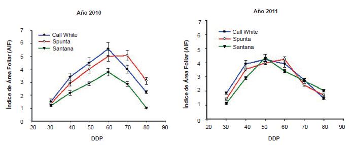 Comportamiento del &Iacute;ndice de &Aacute;rea Foliar (IAF) en tres variedades de papa en plantaciones realizadas en los a&ntilde;os 2010 y 2011