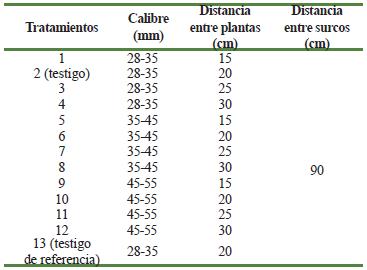 Descripción de los tratamientos del experimento