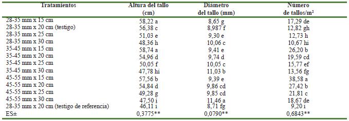 Influencia de diferentes calibres de tubérculos-semilla y distancia de plantación, sobre algunas características morfológicas del cultivo de la papa
