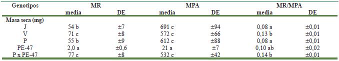Evaluaci&oacute;n de la biomasa de las ra&iacute;ces (MR) y la parte a&eacute;rea (MPA), as&iacute; como la proporci&oacute;n MR/MPA en plantas j&oacute;venes de diferentes genotipos de tomate