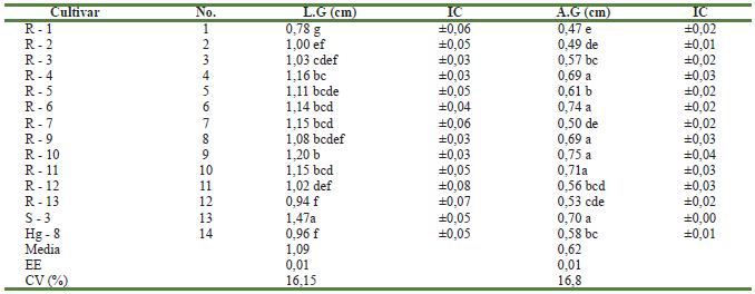 Caracteres de los granos de líneas de frijol común evaluadas en la finca “José Castellanos” del municipio Santa Cruz del Norte