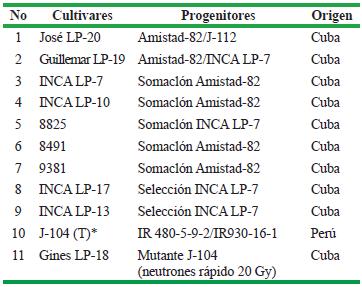 Cultivares evaluados en condiciones de bajos suministros de agua y fertilizante en la localidad &ldquo;Los Palacios&rdquo;