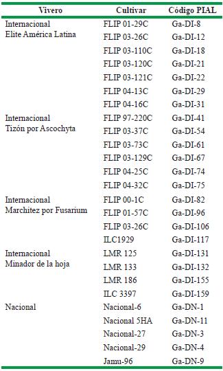Cultivares foráneos procedentes del banco de germoplasma de ICARDA y cultivares nacionales provenientes del INIFAT, expuestos en la feria de garbanzo, CPA “Gilberto León”, San Antonio de los Baños, Artemisa, 2009/2010