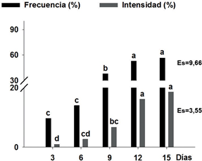  Dinámica de la frecuencia e intensidad de la colonización fúngica durante 15 días de asociación entre plantas de S. tuberosum y las redes de micelio extraradical