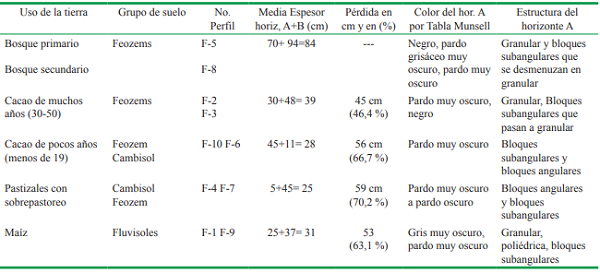 Caracter&iacute;sticas morfol&oacute;gicas de los perfiles estudiados en condiciones de uso actual