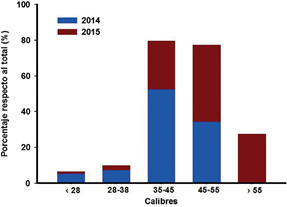 Porcentaje del rendimiento respecto al total en los tamaños considerados durante los dos años