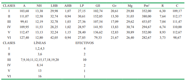 Distribuci&oacute;n de genotipos en efectivos y medias por clases, seg&uacute;n el An&aacute;lisis de Conglomerados