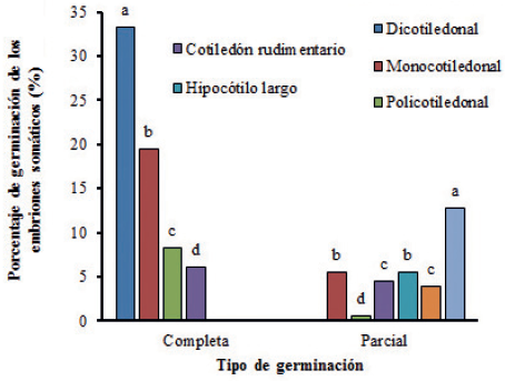 Efecto del tipo de morfolog&iacute;a de los embriones som&aacute;ticos en el porcentaje de germinaci&oacute;n completa o parcial en soya (Glycine max L.) cultivar ʻIncasoy-27ʼ en medio de cultivo de germinaci&oacute;n con las sales MS, vitaminas B5 y sacarosa 1,5 % durante 30 d&iacute;as Barras con letras desiguales en un mismo tipo de germinaci&oacute;n difieren seg&uacute;n la prueba de Kruskal-Wallis/ Mann-Whitney, (p<0,05; n = 180).