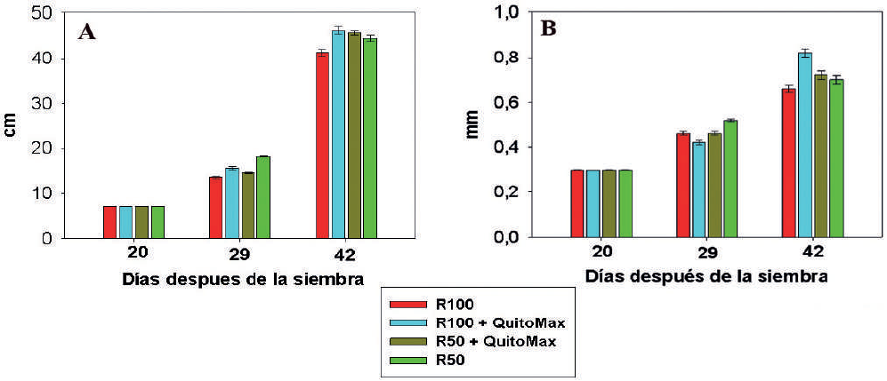 Longitud (A) y di&aacute;metro de los tallos (B) de plantas de frijol tratadas con QuitoMax&reg; y sometidas a dos niveles de abastecimiento h&iacute;drico