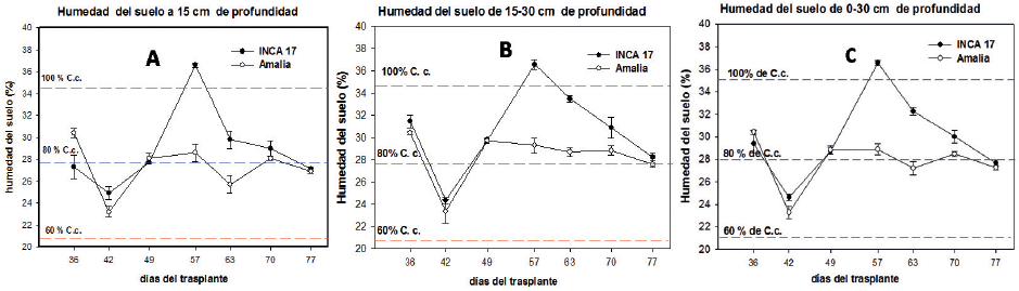 Valores porcentuales de la humedad del suelo a 15 cm de profundidad (A), 30 cm (B) y en el perfil de 0 a 30 cm (C), medidas tomadas a los 36,42, 49, 57, 63, 70 y 77 DDT
