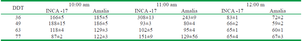 Valores medios de conductancia estom&aacute;tica de las variedades INCA-17 y Amalia a las 10, 11 y 12 horas del d&iacute;a y a los 36, 49, 63 y 77 DDT