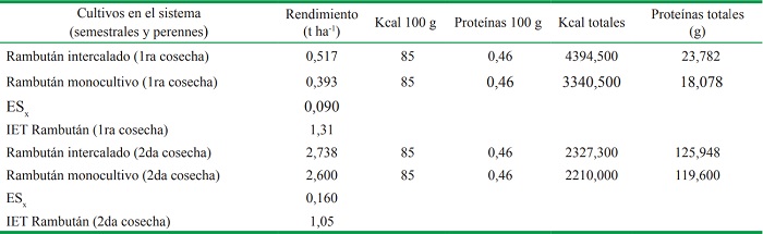 Rendimientos del cultivo de rambut&aacute;n Primera y segunda cosecha.