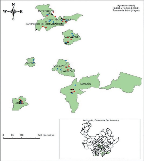 Ubicaci&oacute;n geogr&aacute;fica de los lotes muestreados en los cultivos de aguacate tomate de &aacute;rbol pastos y forrajes en clima frio moderado del departamento de Antioquia Colombia.