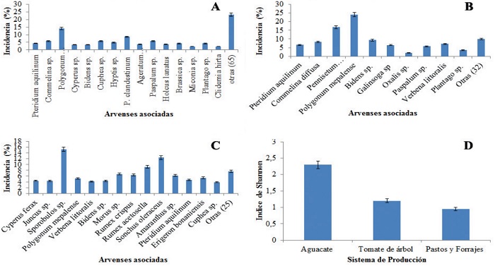Arvenses y su diversidad asociadas a sistemas de producci&oacute;n de aguacate tomate de &aacute;rbol pastos y forrajes en clima frio en Antioquia.