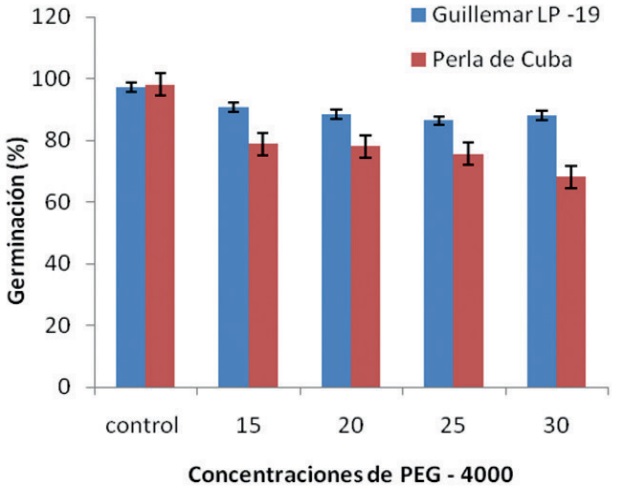 Influencia de las concentraciones de PEG–4000 sobre la germinación de la semilla de dos cultivares de arroz.