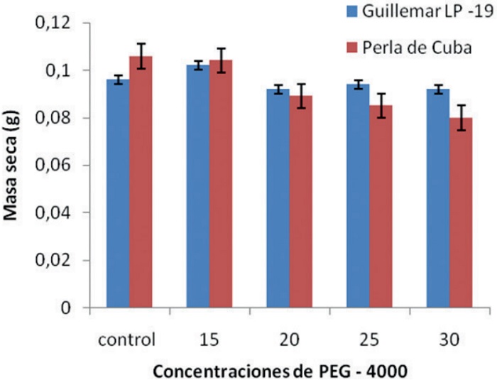Influencia de las concentraciones de PEG–4000 sobre la masa seca en dos cultivares de arroz.